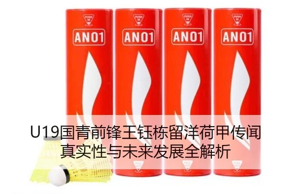 U19国青前锋王钰栋留洋荷甲传闻真实性与未来发展全解析